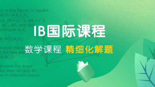 IB国际课程体系【2022】IB数学班